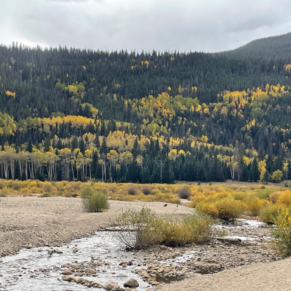 Meet your Posher, Beth